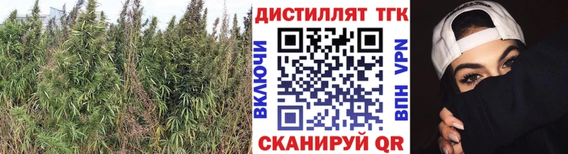Дистиллят ТГК вейп с тгк  что такое   Фурманов 